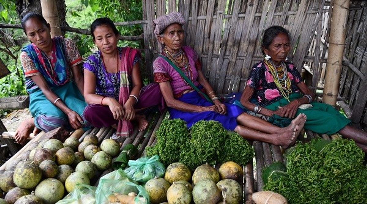 Enslaved For Decades, Indigenous Indians Freed By Land Titles