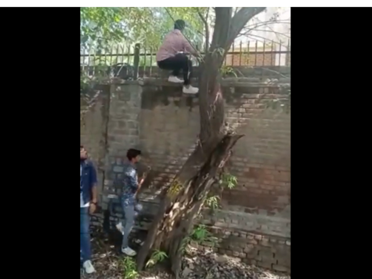 Men scale the wall of Miranda House College in Delhi