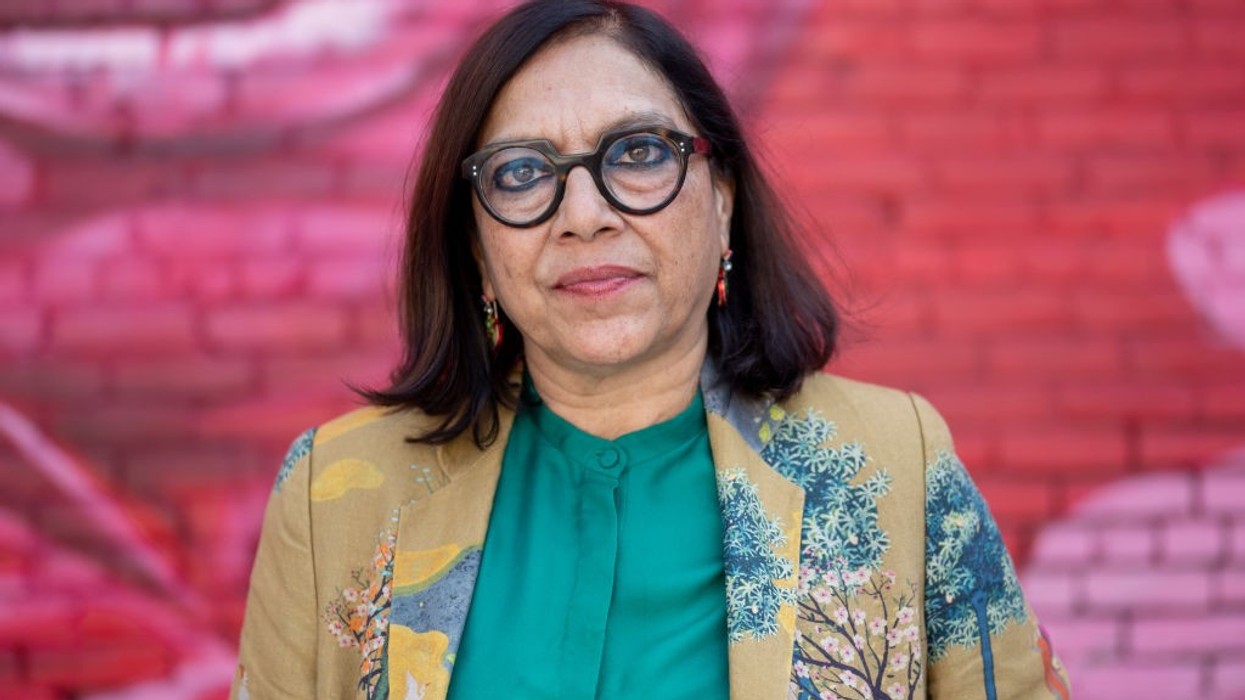 Mira Nair Epstein files