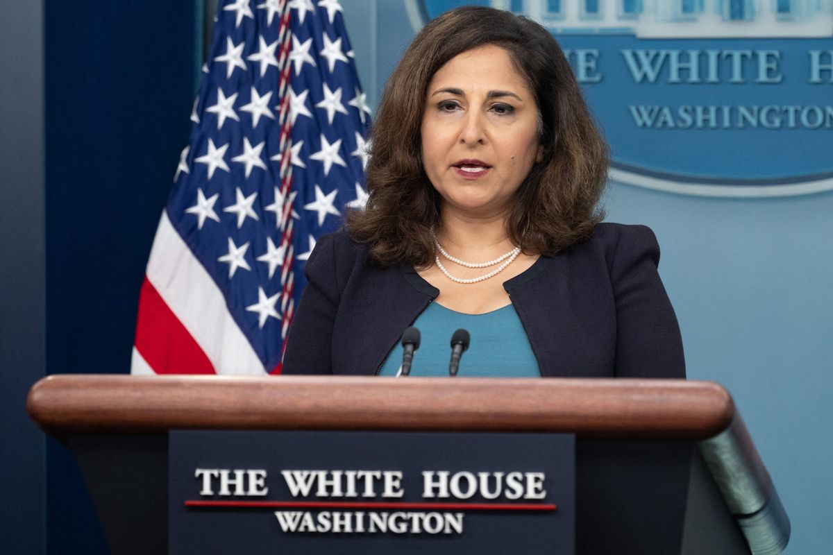 Diaspora’s role vital in India-US ties: Neera Tanden