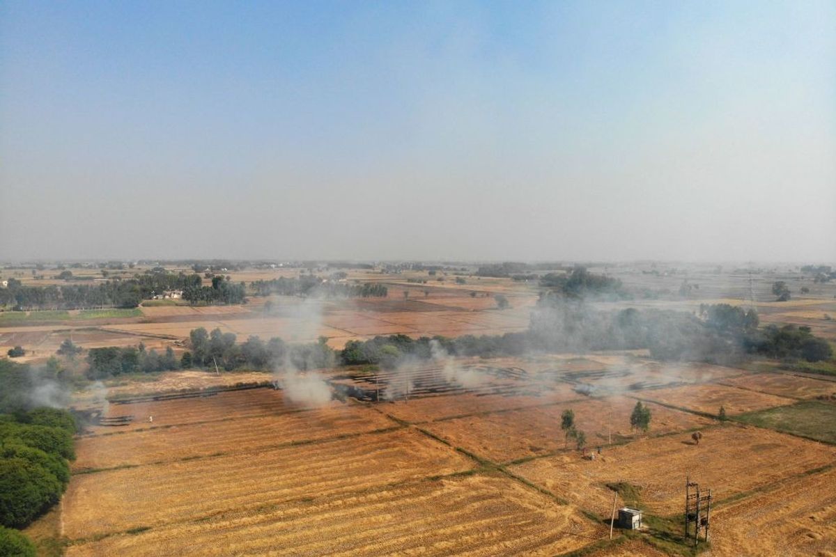 Stubble burning incidents see steep rise in Punjab
