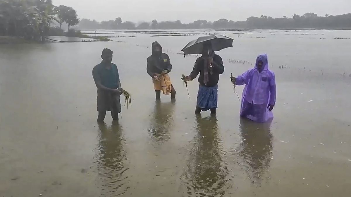 Rains continue in Tamil Nadu