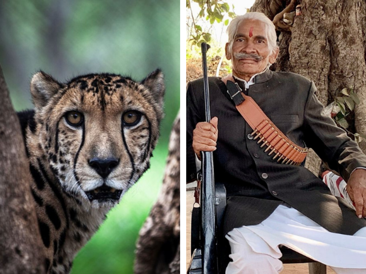 Ramesh Sikarwar (R) and a cheetah