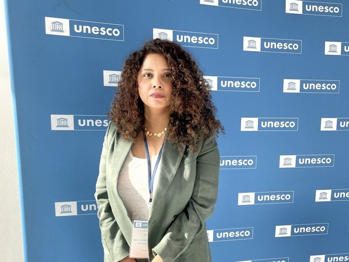 rana ayyub courts