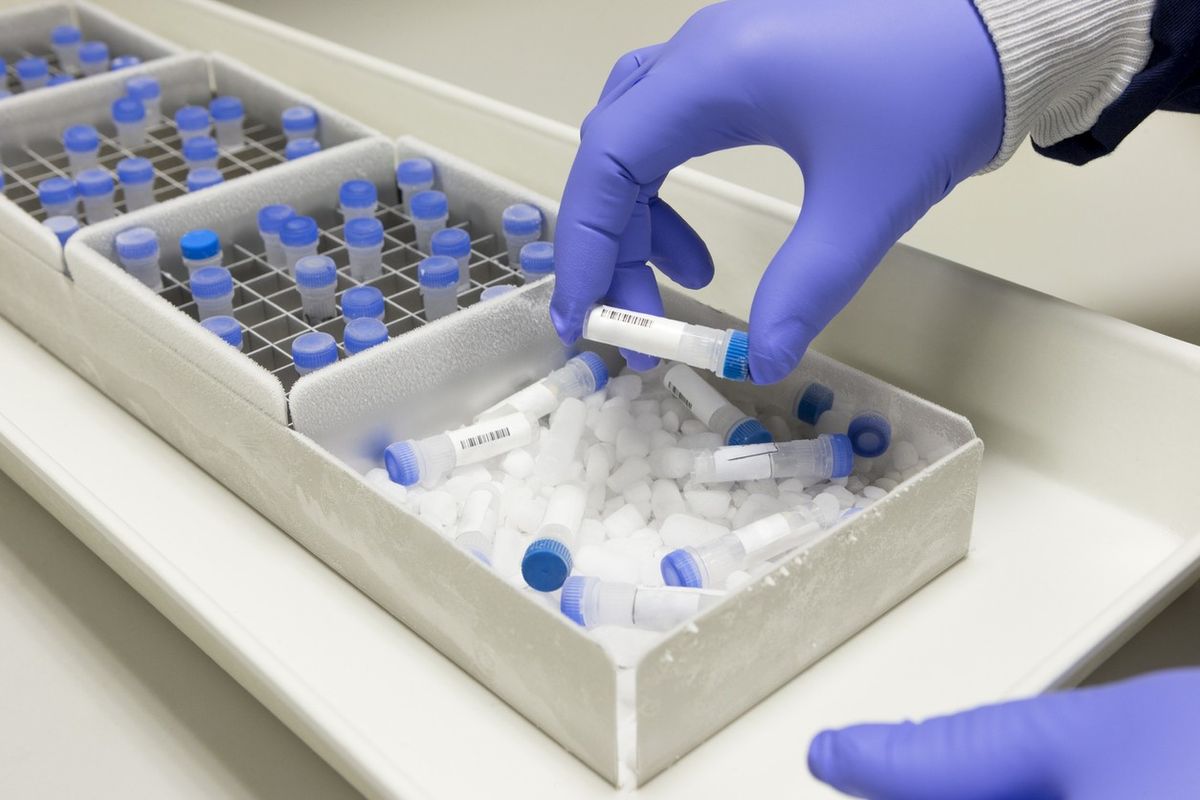 Five drugmakers to start trial of Merck & Co's anti-viral drug in India