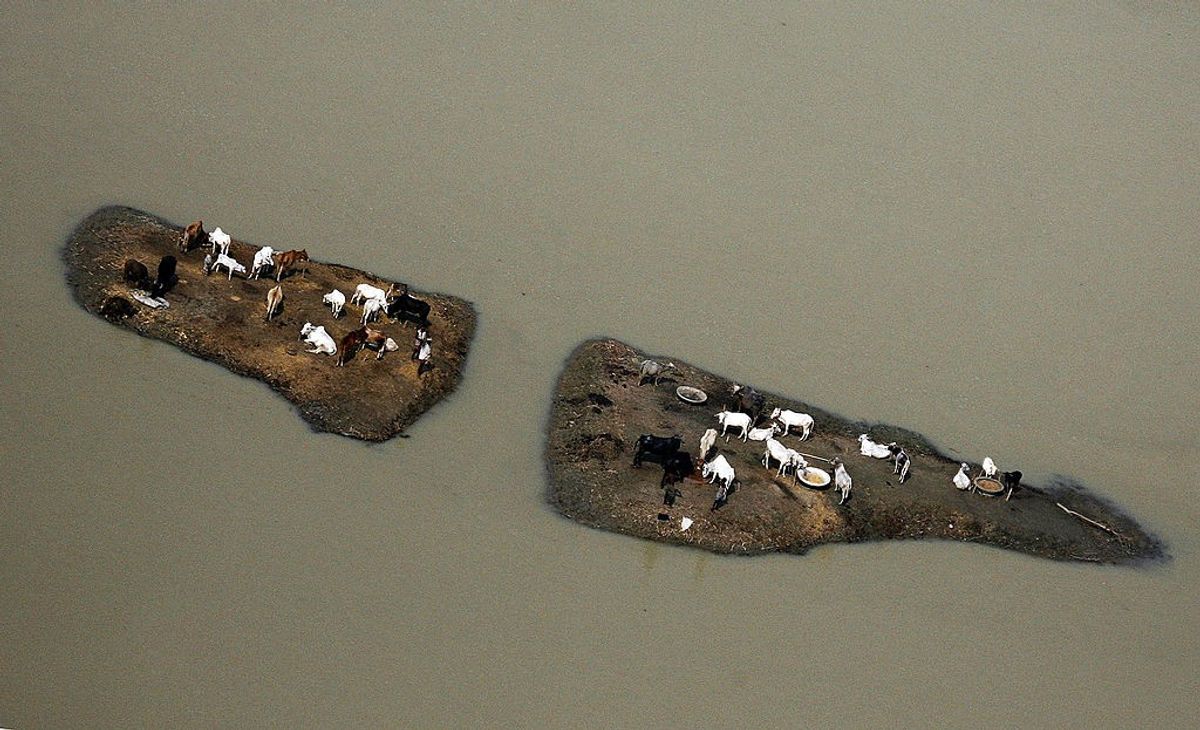 North-east India: Floods threaten hundreds of thousands
