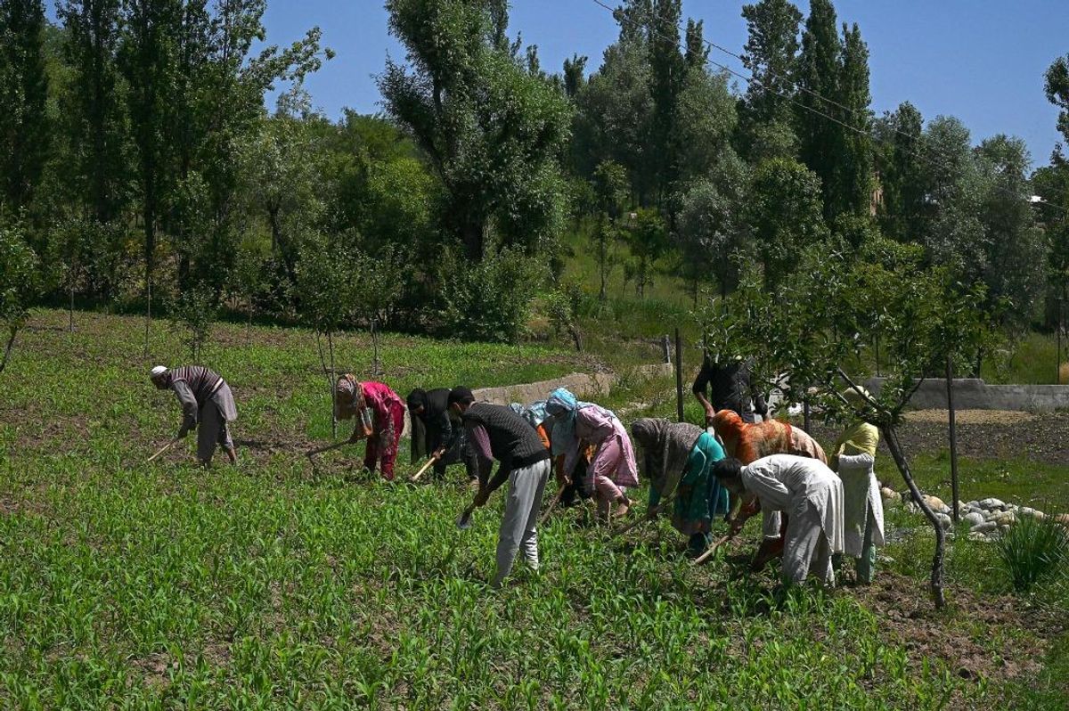 Rural India economic activities did better during 2021 lockdown, says survey
