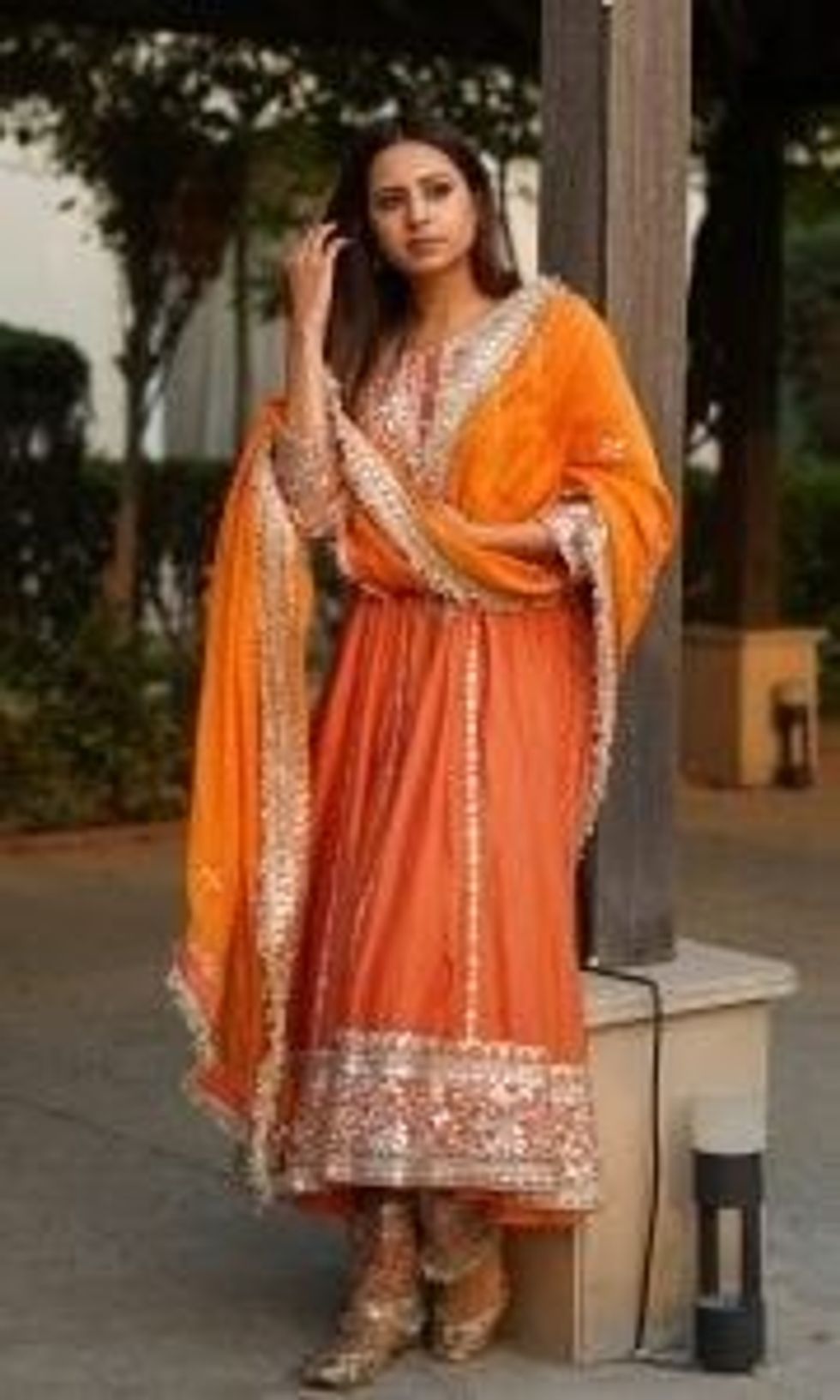 Sargun Mehta 1