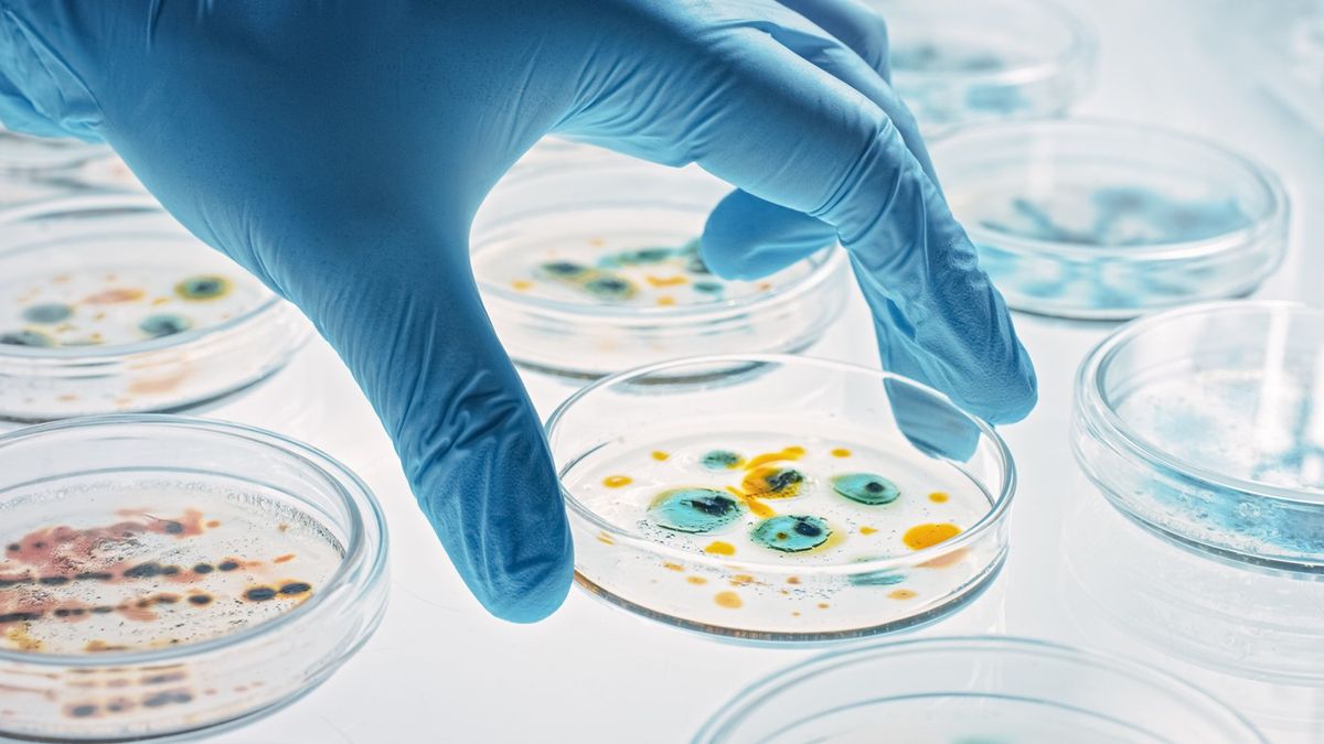 Five bacteria types claimed 680,000 lives in India in 2019: Lancet study