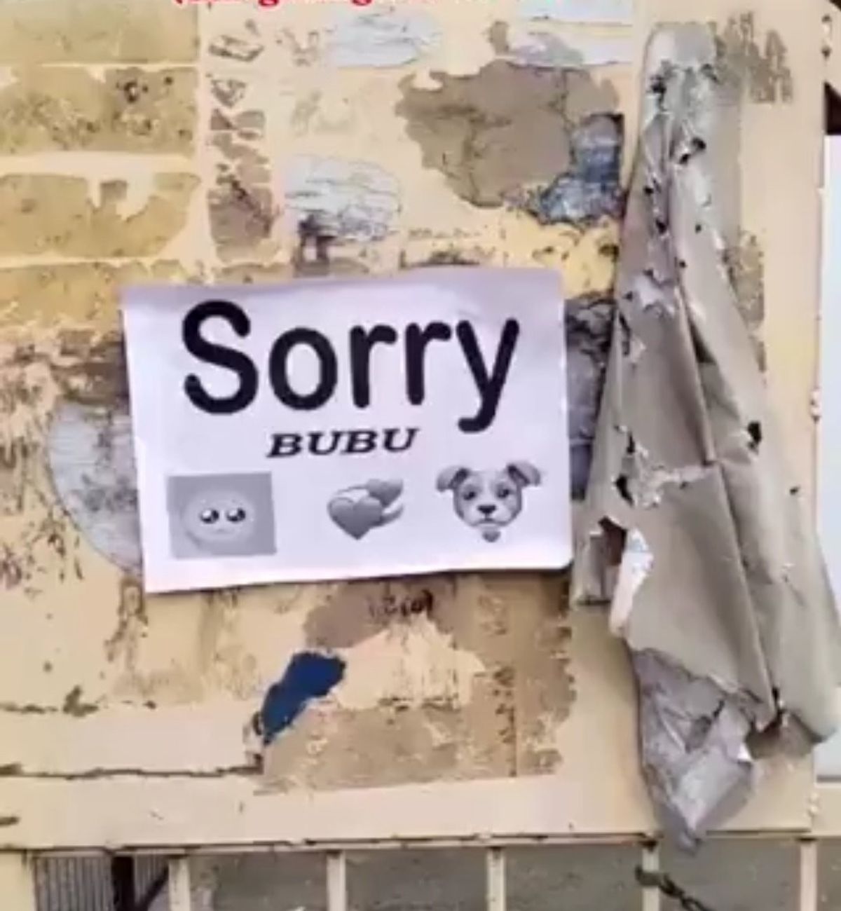 Sorry Bubu