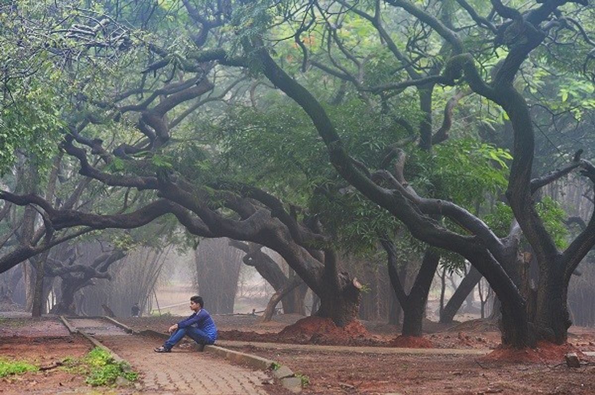 India's Monsoon Rains 35 Per Cent Below Average This Week