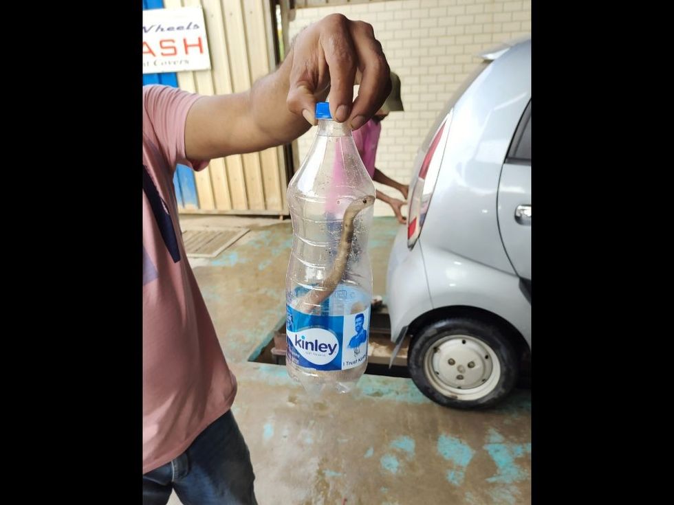 The car which was being washed for an unusual reason at a washing station in Bengaluru, India.