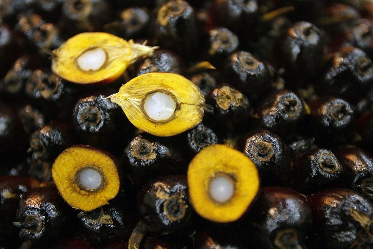 Shun Malaysia, India’s Palm Oil Traders Told