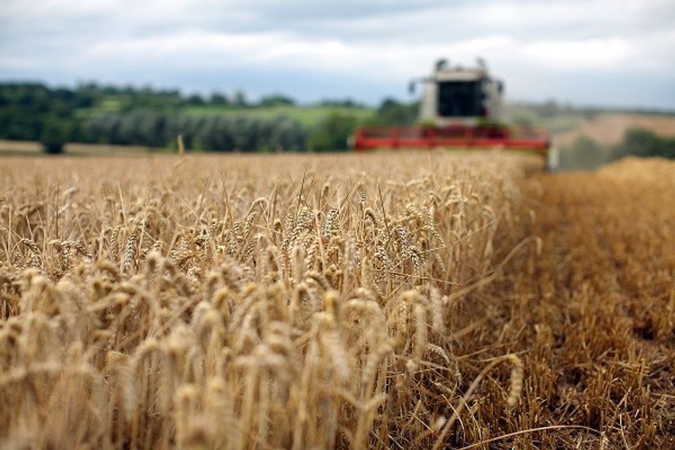 World Food Prices Ease For Second Month Running In July