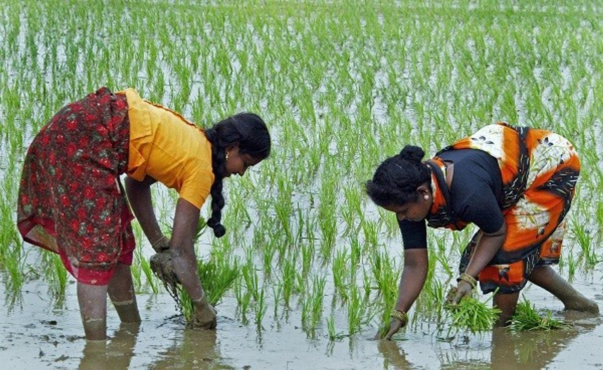 India's Rains To Make Up Early Shortfall: Weather Chief