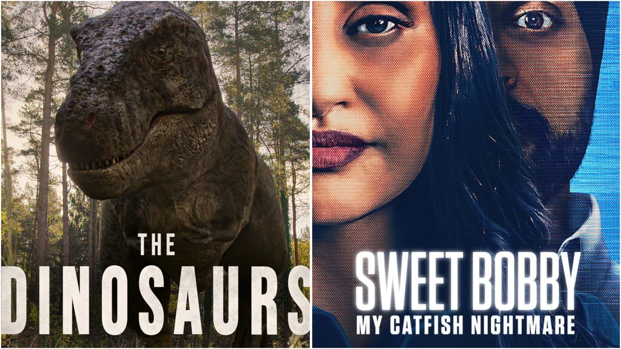 5 Netflix shows rewiring how we think about the world