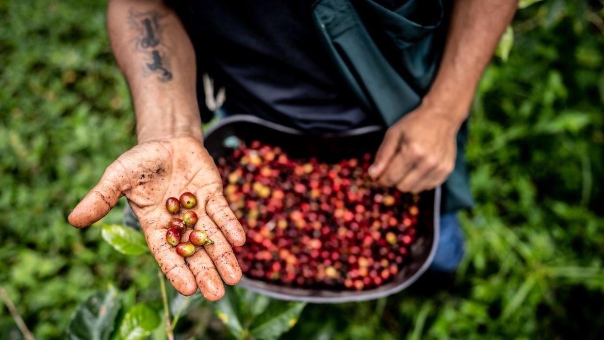 Trump’s Tariff Rollback Brings Hope for Indian Farmers