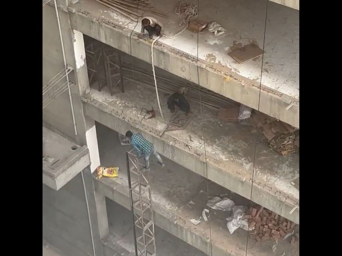 Two construction workers at an under-construction high-rise building in India