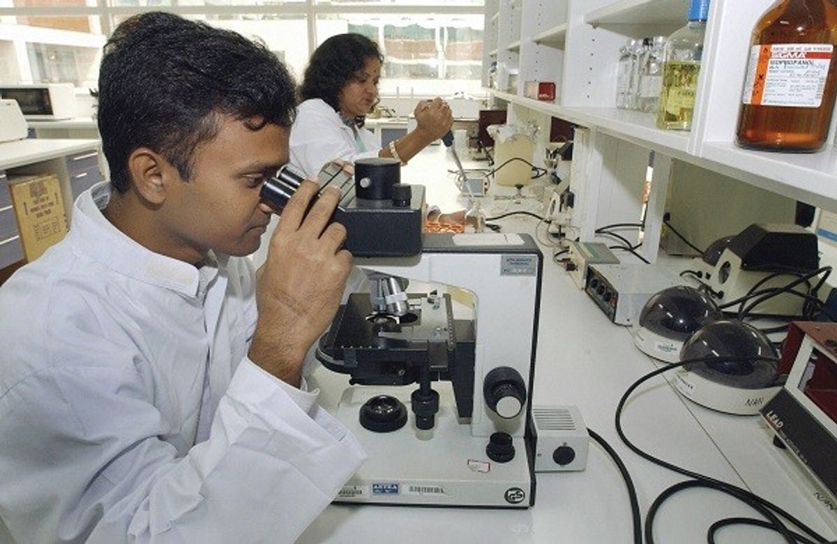 Indian Researchers Decode How Lead Toxicity May Cause Fatty Liver  
