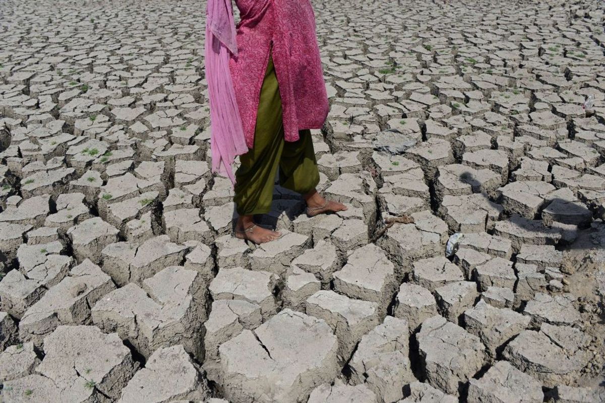 Woman walks on parched land in India