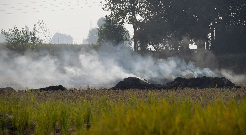 Poll-bound UP to drop crop-burning cases against farmers