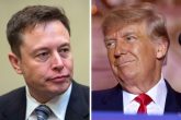 Elon Musk and Donald Trump