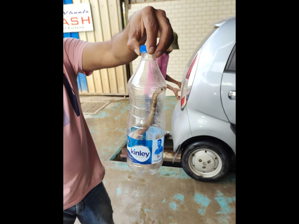 The car which was being washed for an unusual reason at a washing station in Bengaluru, India. 