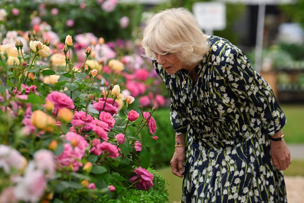 A spectacular showcase: Exploring the gardens at Chelsea Flower Show 2023