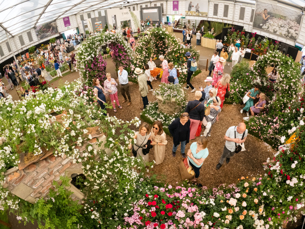 A spectacular showcase: Exploring the gardens at Chelsea Flower Show 2023