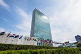 UN SECURITY COUNCIL